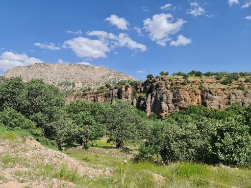 عکس تنگ گنجه ای