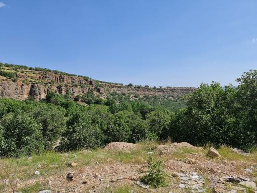 عکس تنگ گنجه ای