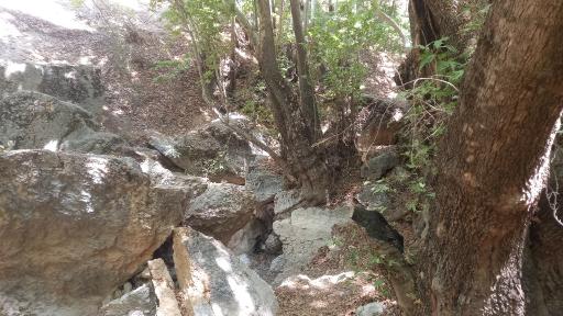عکس تنگ گنجه ای