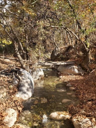 عکس تنگ گنجه ای