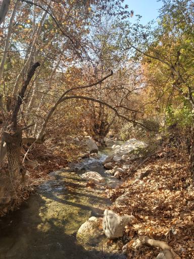 عکس تنگ گنجه ای