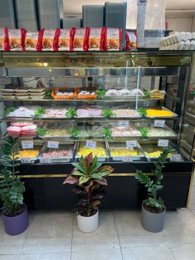 عکس هایپر پروتئین نیاوران