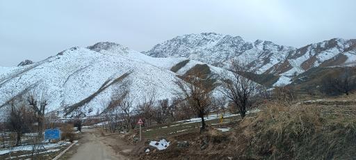 عکس خوگ