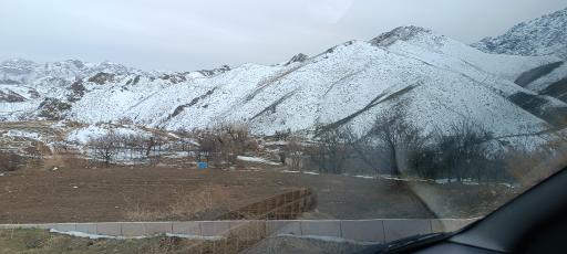عکس خوگ