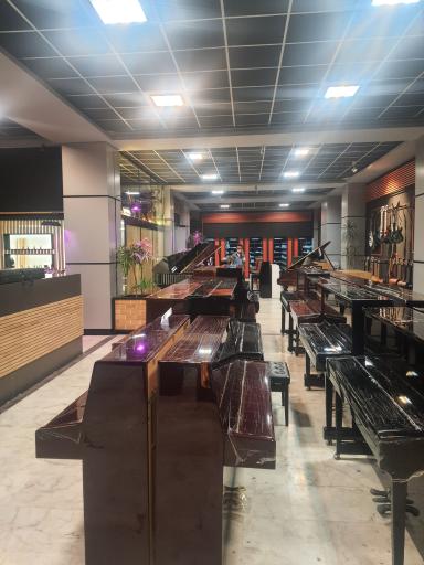 عکس پیانو رهاوی