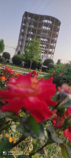 عکس میدان چادرملو