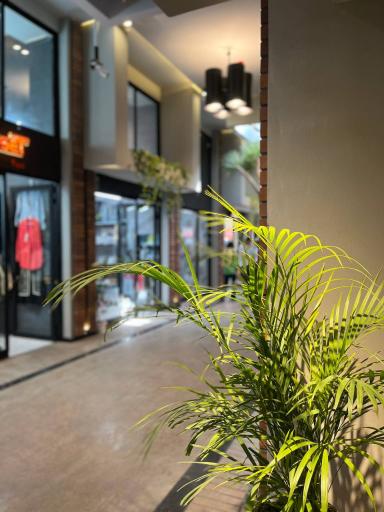 عکس مجتمع تجاری ماهلند