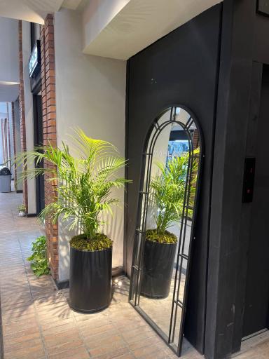 عکس مجتمع تجاری ماهلند