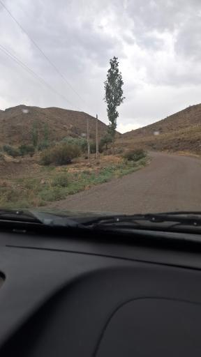 عکس چلمبر