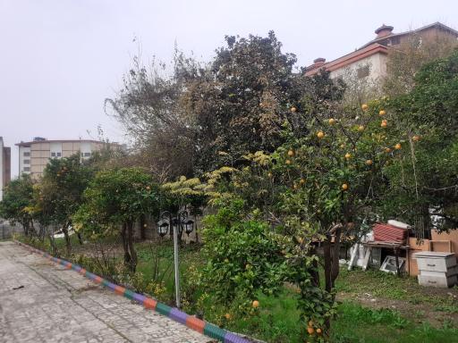 عکس آشپزخانه، باغ و کافه رستوران چهارفصل