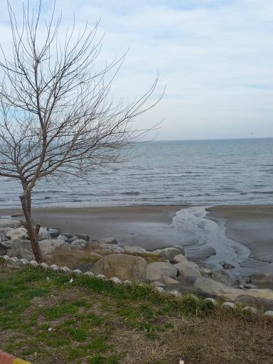 عکس پارک ساحلی