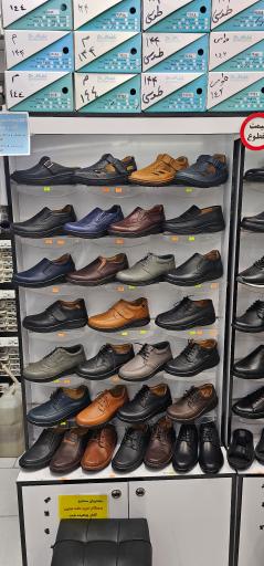 عکس کفش طبی دکتر شول و دکتر ماخ