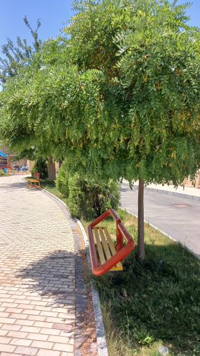 عکس دانشکده پرستاری ملایر