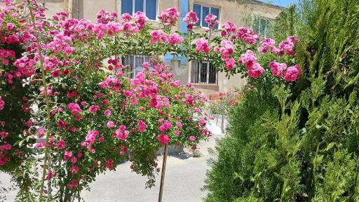 عکس دانشکده پرستاری ملایر