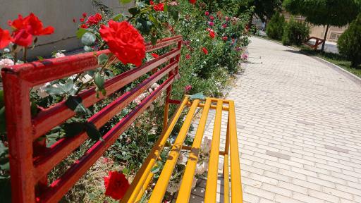 عکس دانشکده پرستاری ملایر