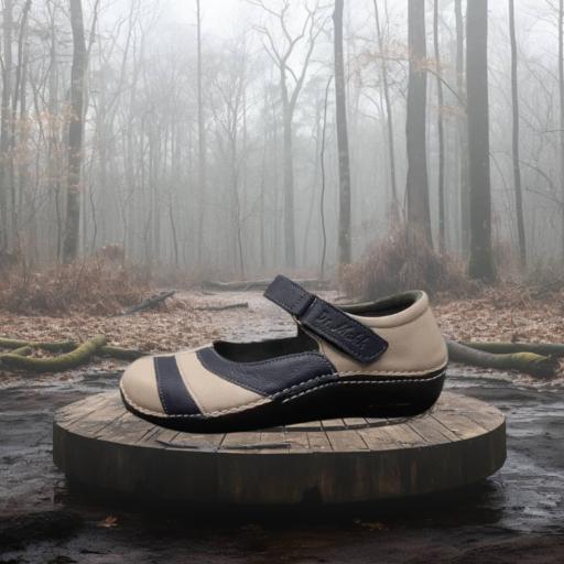 عکس کفش طبی دکتر شول و دکتر ماخ