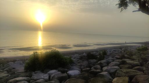 عکس پارک ساحلی