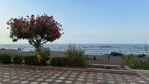 عکس پارک ساحلی