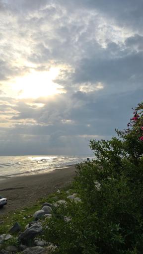 عکس پارک ساحلی