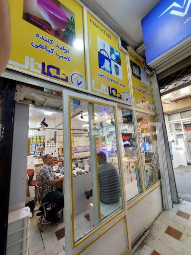 عکس الکتریکی نماتاب