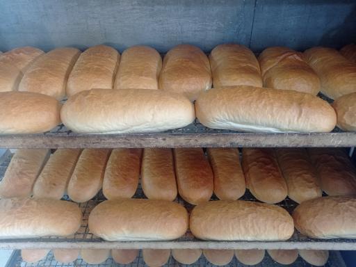 عکس نان فانتزی قاسمی