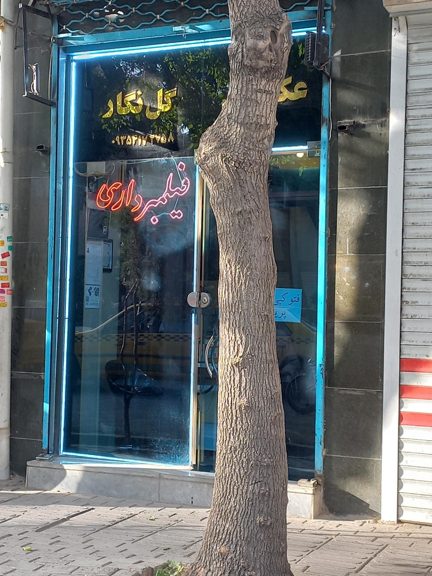 عکس عکاسی گل نگار