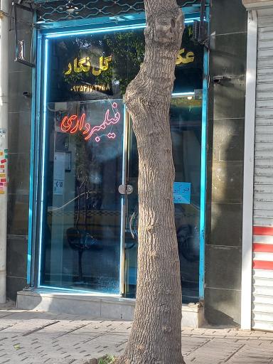 عکس عکاسی گل نگار