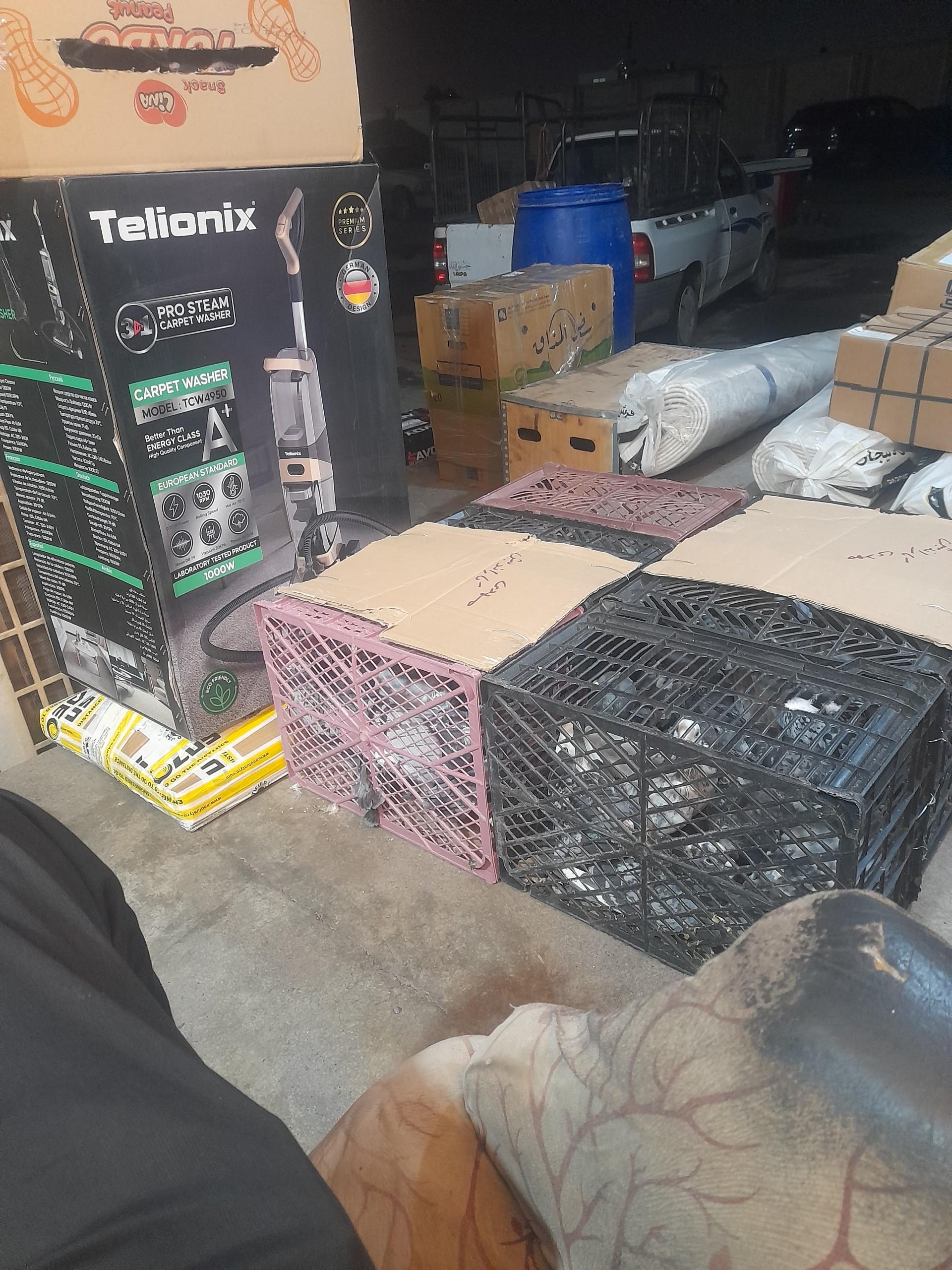 عکس باربری پیک صبا