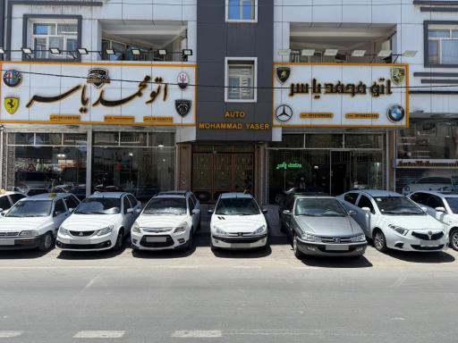 عکس اتو گالری محمد یاسر
