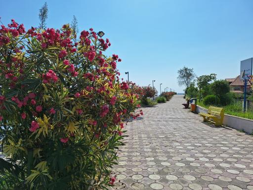 عکس پارک ساحلی