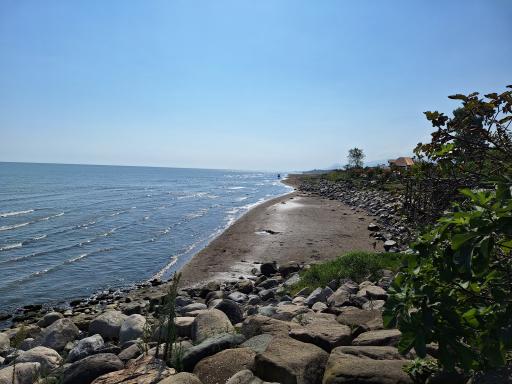 عکس پارک ساحلی