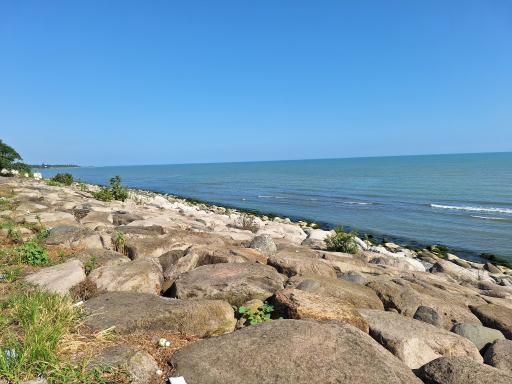 عکس پارک ساحلی