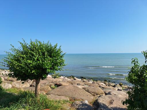 عکس پارک ساحلی