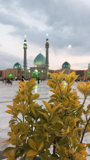 عکس مسجد مقام صاحب الزمان (عج)