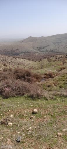 عکس چشمه کوهستانی