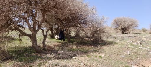 عکس چشمه کوهستانی