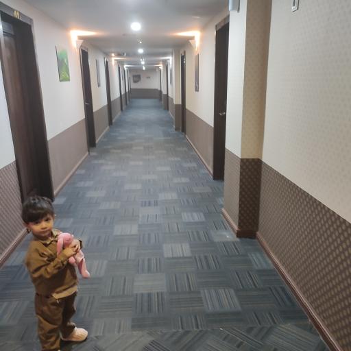 عکس هتل بین الحرمین شیراز