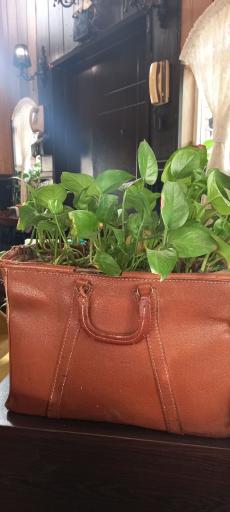 عکس کافی شاپ مدیس