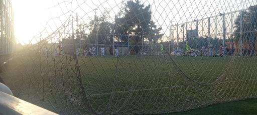 عکس چمن مصنوعی