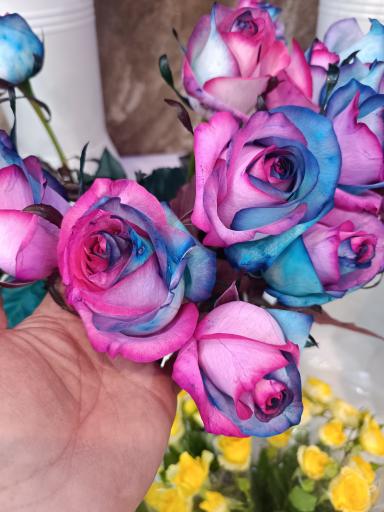 عکس گلفروشی گل روی تو