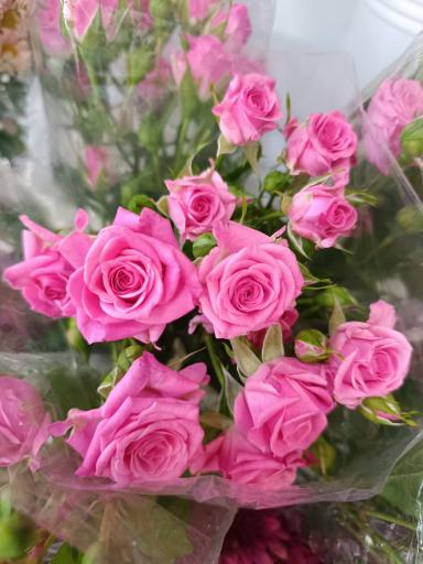 عکس گلفروشی گل روی تو