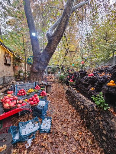 عکس رستوران البرز درکه