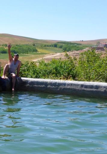 عکس باغ گیلاس آقای  خدایار نصرالهی 