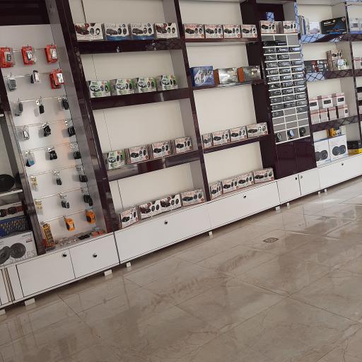 عکس دزدگیر عبدی