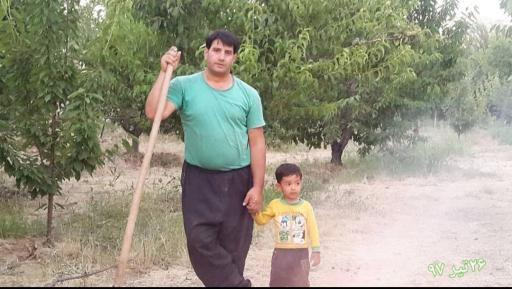 عکس باغ گیلاس آقای  خدایار نصرالهی 