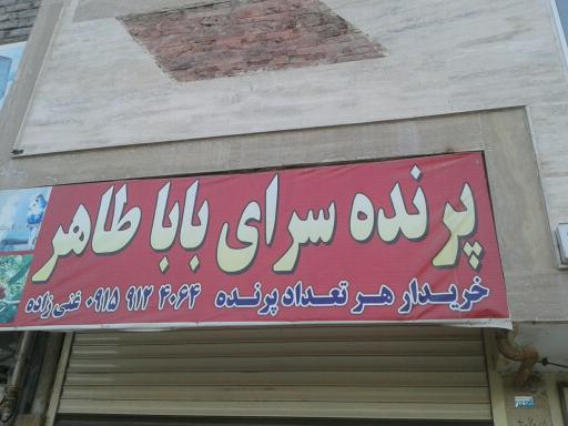 عکس پرنده سرای بابا طاهر