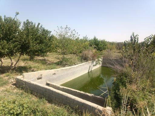 عکس باغ سیدعباس عباس زاده