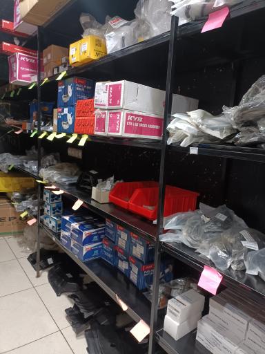 عکس دکتر ماکسیما