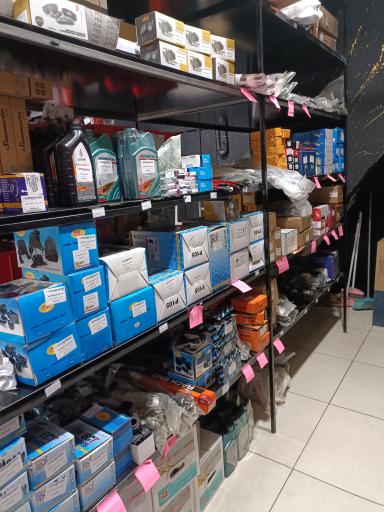 عکس دکتر ماکسیما