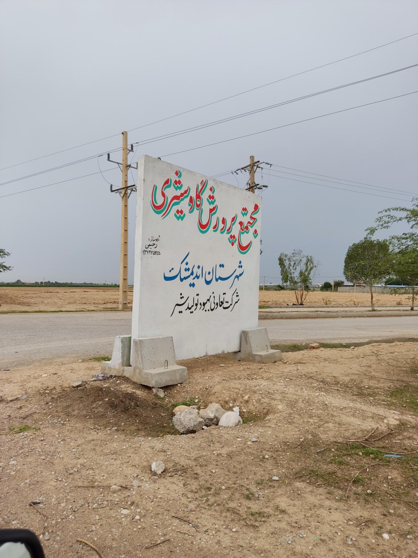 عکس مجتمع پرورش گاوشیری